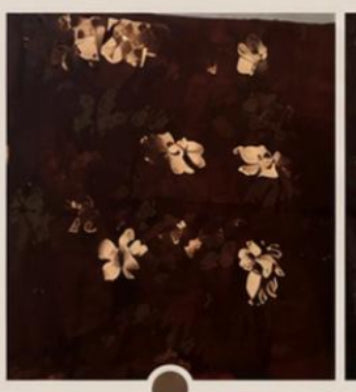 Espresso blossom Printed modal